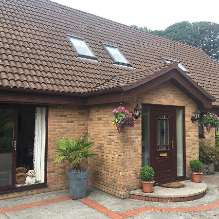 Bed and Breakfast The Firs - Englefied Studio Douglas Exterior foto