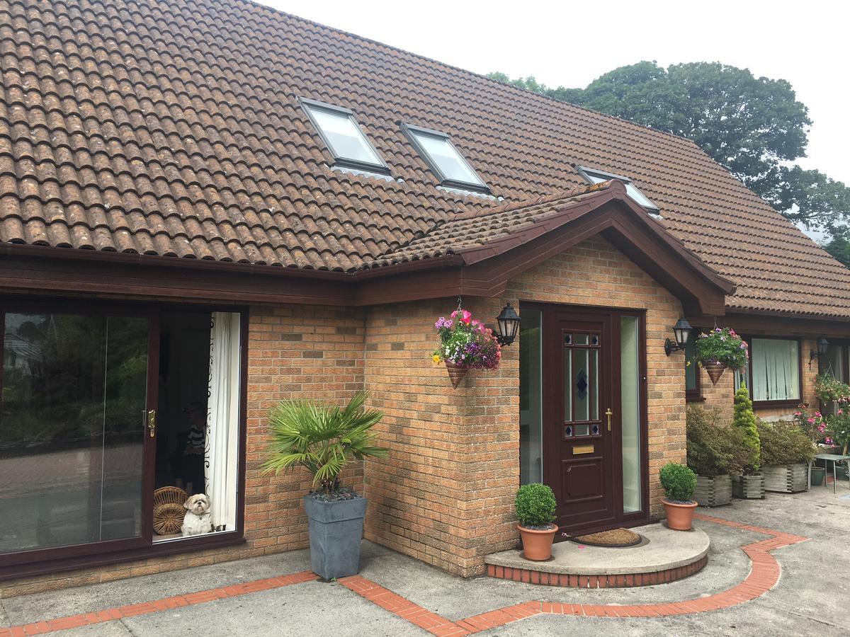 Bed and Breakfast The Firs - Englefied Studio Douglas Exterior foto